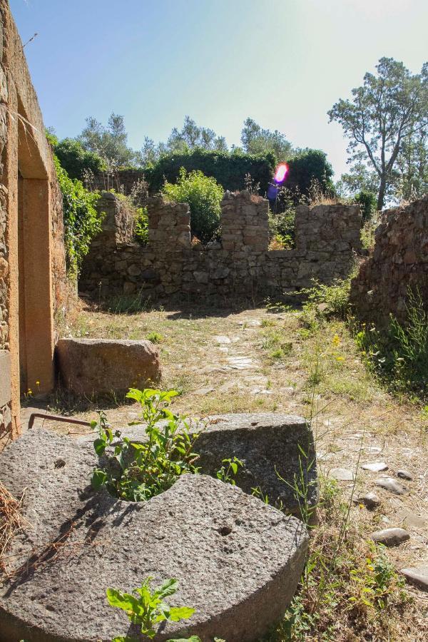 Torre de Don Miguel Raices Casa Rural מראה חיצוני תמונה